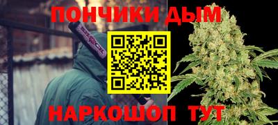 шишки Балахна