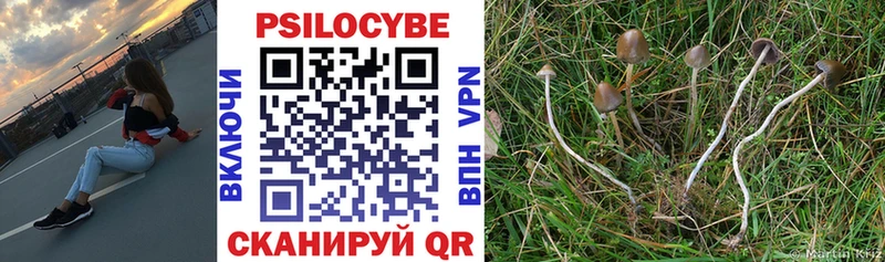 Псилоцибиновые грибы GOLDEN TEACHER Борисоглебск