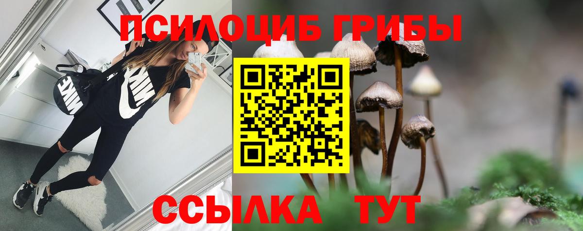Псилоцибиновые грибы мухоморы  Вход с VPN  сколько стоит  Борисоглебск 